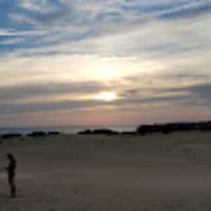 Meet your Posher, Dawn